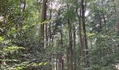 Excursión Senderismo Lyons-la-Forêt - La Bosse, le Val Bagnard, les Trous Museaux, Lorleau, Lyons  - Photo 2