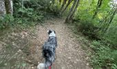 Trail Walking Claix - Colline de Comboire - Photo 6