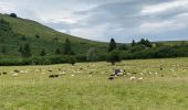 Excursión Senderismo Ceyssat - Du Puy-de-Dôme au Pariou - Photo 2