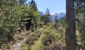 Randonnée Marche Olmi-Cappella - Sentier découverte de Tartagine - Photo 2