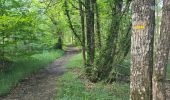 Randonnée Marche Nouzilly - Nouzilly - Circuit des Orchidées  - Photo 3