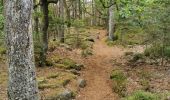 Trail Walking Saint-Nabor - boucle st nabor - Mt ste Odile  - Photo 16