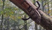 Tocht Stappen Mittelbergheim - les arbres espiègles - Photo 13