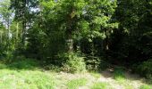 Tocht Stappen Dampleux - en forêt de Retz_82_sur les Routes de la Bruyère aux Loups et de la Chrétiennette - Photo 1