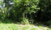 Randonnée Marche Dampleux - en forêt de Retz_82_sur les Routes de la Bruyère aux Loups et de la Chrétiennette - Photo 1