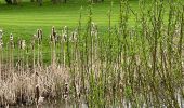 Tour Wandern Lasne - #240315 - Ohain Golf de Waterloo Marache - Photo 2