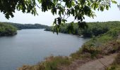 Tour Wandern Caurel - Bois de Caurel (Lac de Guerlédan) - Photo 2