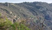 Tour Wandern Hyères - Giens boucle ouest - Photo 3