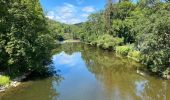 Tocht Stappen Comblain-au-Pont - Pont de Scay 20 Km  - Photo 9