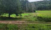 Trail Equestrian Porcelette - Wikiloc - Porcelette - Grotte des russes - Photo 20