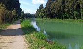 Trail Walking Béziers - orb et canal du midi Beziers - Photo 3