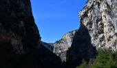 Trail Walking La Palud-sur-Verdon - Chalet de la Maline - Point Sublime - Photo 12