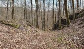 Excursión A pie Gomadingen - Zugangsweg Ringingen - Burladingen - Hauptstraße Gauselfingen - Photo 9