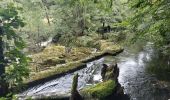 Tour Wandern Cros - Pont du diable 3 - Photo 13