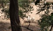 Tocht Stappen Le Revest-les-Eaux - Boucle: La ripelle - Source de la ripelle - Le Chateau de Tourris - Les grottes de sable - La carrière aux fourmis - Les puits renovés de M. Lambicchi - Les ruines des Olivières - La ferme de la Touravelle - à Le Revest-les-Eaux - Photo 16