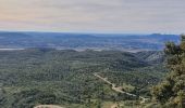 Trail Walking Cheval-Blanc - Valloncourt - Photo 6