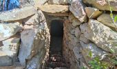 Trail Walking Allauch - Le sentier des chasseurs - Vieux cimetière d’Allauch, ND du château, Tête Rouge, Source du chien, Escaouprés, Source du Pitchoun - Carlevan  - Photo 11
