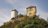 Tour Zu Fuß Altenahr - Gottfried-Kinkel-Weg - Photo 3