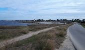 Trail Road bike Quiberon - Quiberon nord - Photo 2