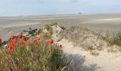 Randonnée Marche Vains - Le Grouin du Sud - Photo 2