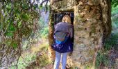 Percorso Marcia Bormes-les-Mimosas - SityTrail - 3043274 - bargeanxchartreuse-verne - Photo 6