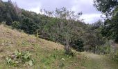 Randonnée Marche Septmoncel les Molunes - mo sentier des lapidaires - Photo 3