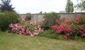 Trail Walking Le Havre - 20220623-Le havre matin - Photo 5