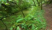 Tocht Stappen Champagney - Canal souterrain de la Haute-Saône - Photo 6