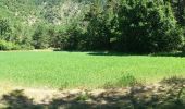 Trail Walking La Roche-des-Arnauds - SityTrail - Circuit de la combe du Duc - Photo 20