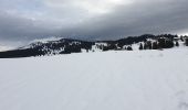 Trail Snowshoes Divonne-les-Bains - La Dole alt 1676m en raquette - Photo 20