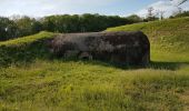 Tour Wandern Châlonvillars - Châlonvillars - le menhir - Genêchier - Mandrevillars - Buc - fort d'Essert  - Photo 13
