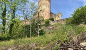 Tocht Stappen Najac - Najac - Photo 7