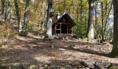 Trail Walking Steinbach - Steinbach C de Turenne - Photo 1