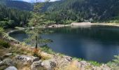 Trail Walking Le Valtin - Les quatre lacs - Photo 15