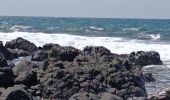 Randonnée Marche Le Diamant - le Diamant de Taupinière vers O'mulane bas. - Photo 4