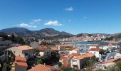 Excursión Senderismo Banyuls-sur-Mer - Découverte de Banyuls  - Photo 16