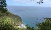 Tocht Stappen Le Prêcheur - AR anse couleuvre- grande rivière (avec un arrêt au retard à l’anse à voile) - Photo 1