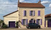 Trail On foot Druyes-les-Belles-Fontaines - Parcours du parking de la Porte de la Ville - Photo 5