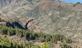 Randonnée Marche Tejeda - Roque Nublo (Gran Canaria) - Photo 14