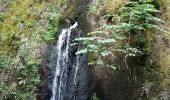 Tour Wandern Urmatt - Cascade Soultzbach - Urmatt - Photo 5