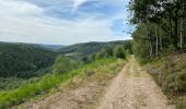 Randonnée Marche Viroinval - Oignies en Thierache 20,7 km - Photo 8