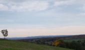Randonnée Marche Sentheim - Ronde d'automne - Photo 3