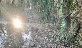Tour Wandern Hannut - La Balade des Chevées - Photo 2