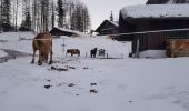 Percorso A piedi Heiligenblut am Großglockner - Wikiloc - Heiligenblut rond het dorp - Photo 6