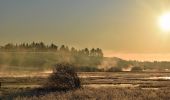 Tour Zu Fuß Unknown - Åskov Hede - blå vandrerute - Photo 4