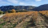 Tour Wandern Flaviac - Flaviac Serre de l'Eglise 15km - Photo 2