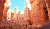 Excursión Senderismo Unknown - 2024 Bryce Canyon Queen's Trail - Photo 10