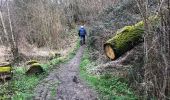 Trail Walking Ciney - Sovet Spontin boucle de 14 km - Photo 5