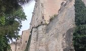 Tour Wandern Avignon - baguenaudage en Avignon - Photo 7