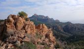 Trail Walking Saint-Raphaël - Le Drapeau d'Agay St Raphaël  - Photo 5
